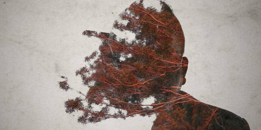 tree branches artistically superimposed on a man's face
